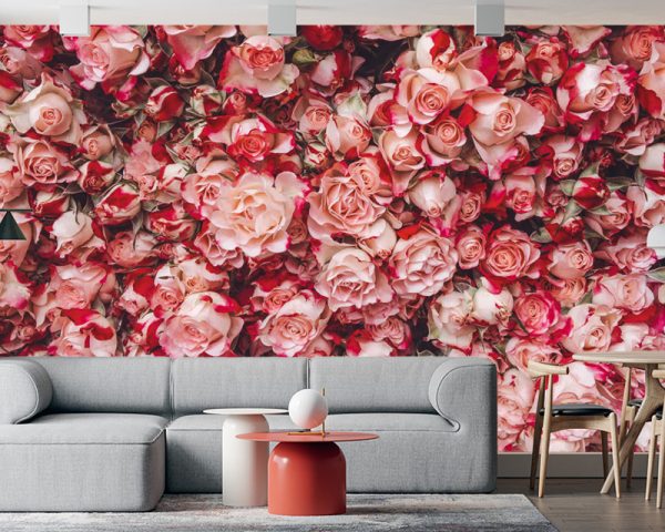 Tapeta 3D ściana z różowych róż