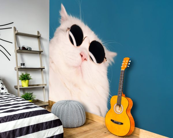 Tapeta biały kot w okularach do pokoju młodzieżowego